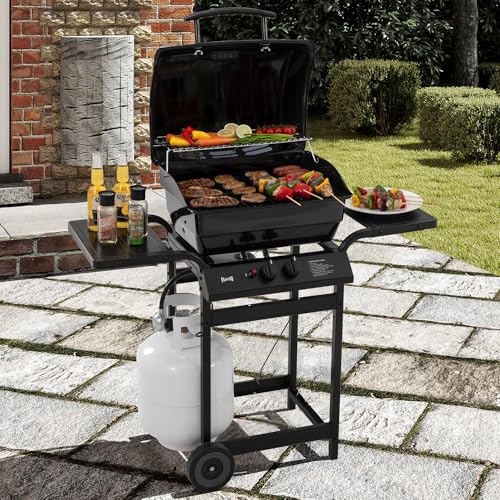 Feasto 2 Burner Propane Gas Grill with 26,500 BTUs Output, Porcelain-Enamel Main Body and Lid, Propane BBQ Grill with Warming Rack & Side Tables for Patio, Backyard, Poolside Gatherings