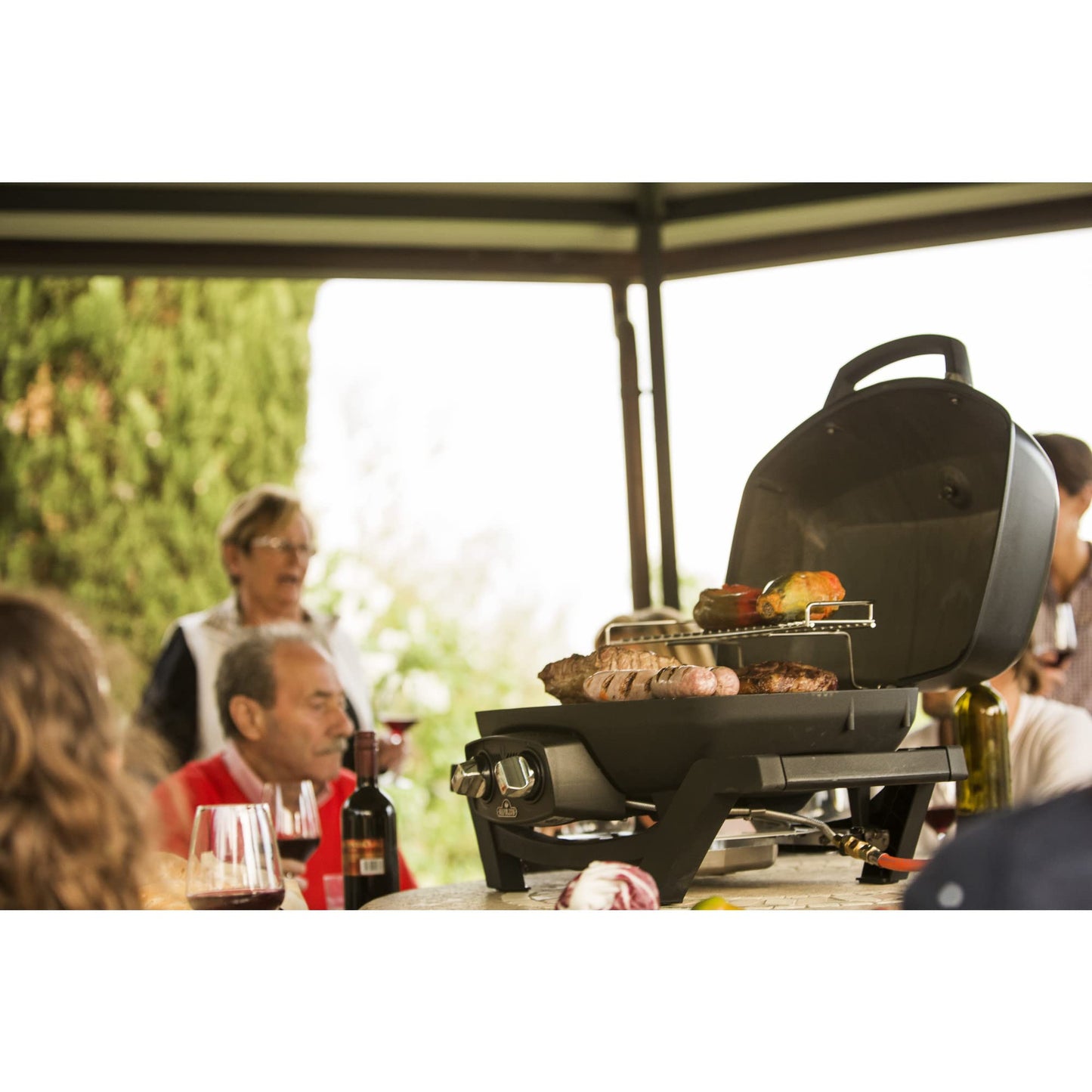Napoleon TravelQ PRO285 Portable Natural Gas Grill, Black, 2 Burners, Tailgating, Camping, and Small Outdoor Spaces
