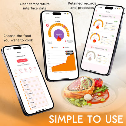 Smart Bluetooth Wireless Meat Thermometer Digital,Probe & LCD Screen for Grill,BBQ,Smoker,Air Fryer,Kitchen,Oven,Kitchen,Perfect for Turkey,Steak,Chicken