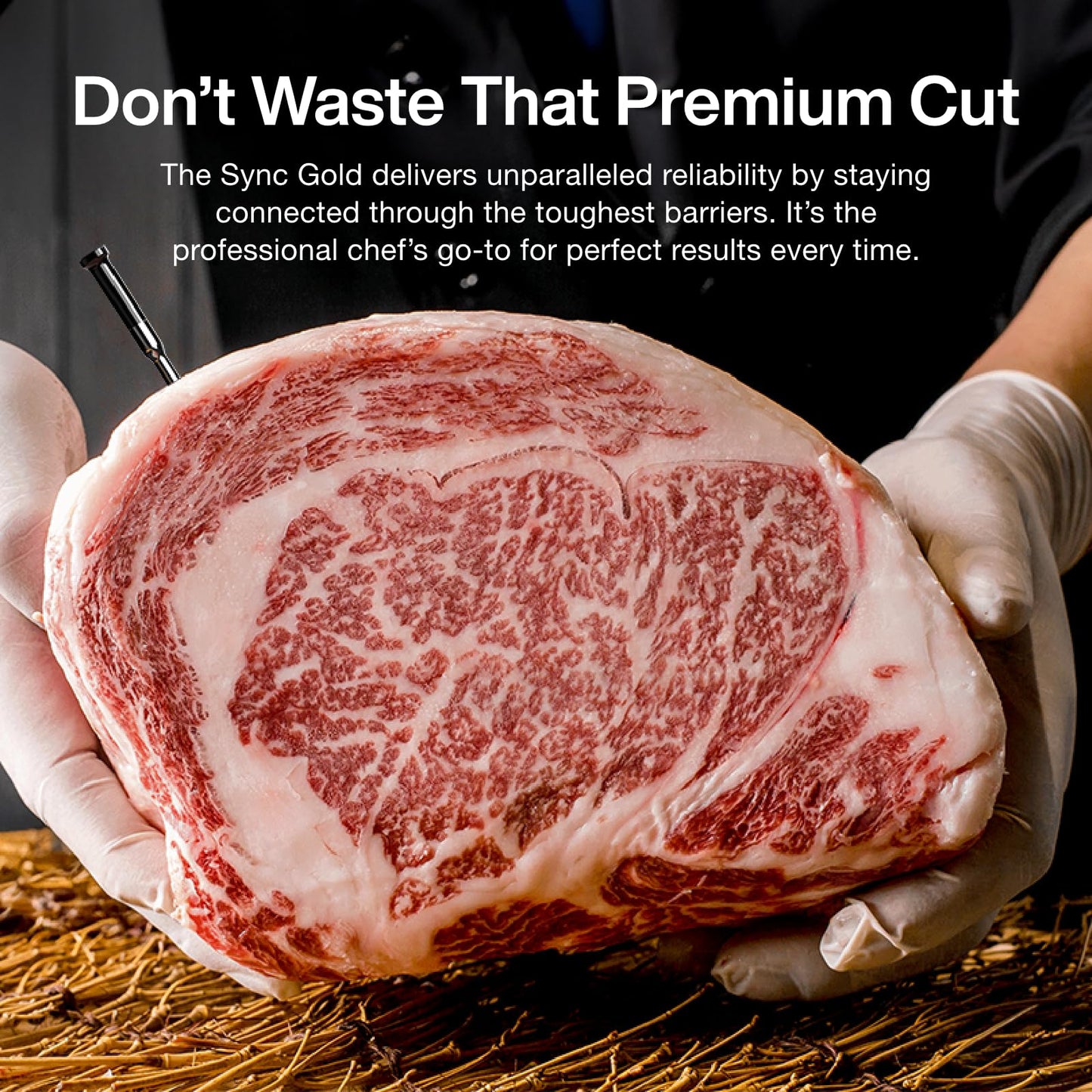 Typhur Sync Gold Wireless WiFi Meat Thermometer | Two Slim Probes | 10x Stronger Signal Than Bluetooth | Reliable Readings Through Kamado Grill, BBQ, Oven, Smoker | Easy-to-Use Base