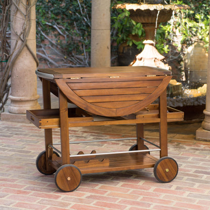 Christopher Knight Home Tillary Tiller Outdoor Acacia Wood Bar Cart Aluminum Accents, Dark Oak/Shiny Powder Coating