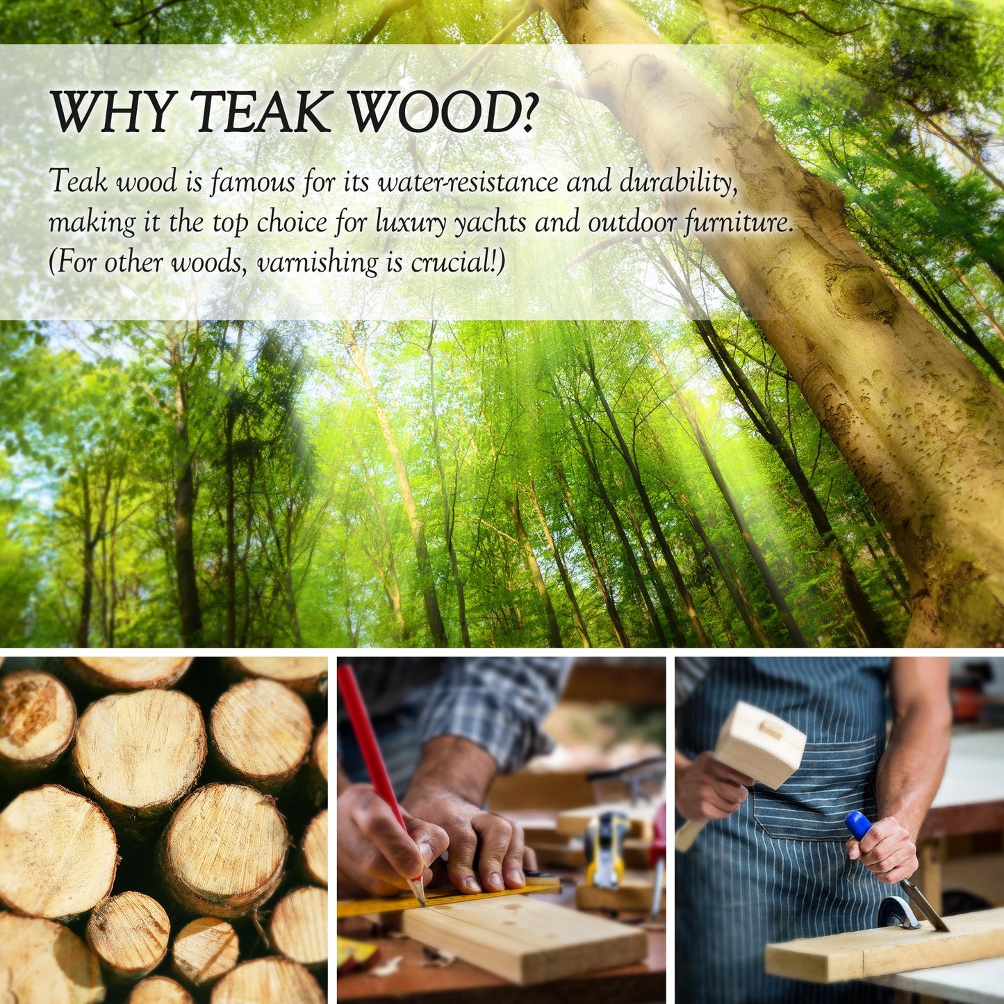 Wooden Spoons for Cooking – 6-12 Piece Teak Wood Cookware Utensil Set with Smooth Finish – Non-Stick, Comfortable Grip – Durable, Heat Resistant Kitchen Utensils (8 PCS Set)