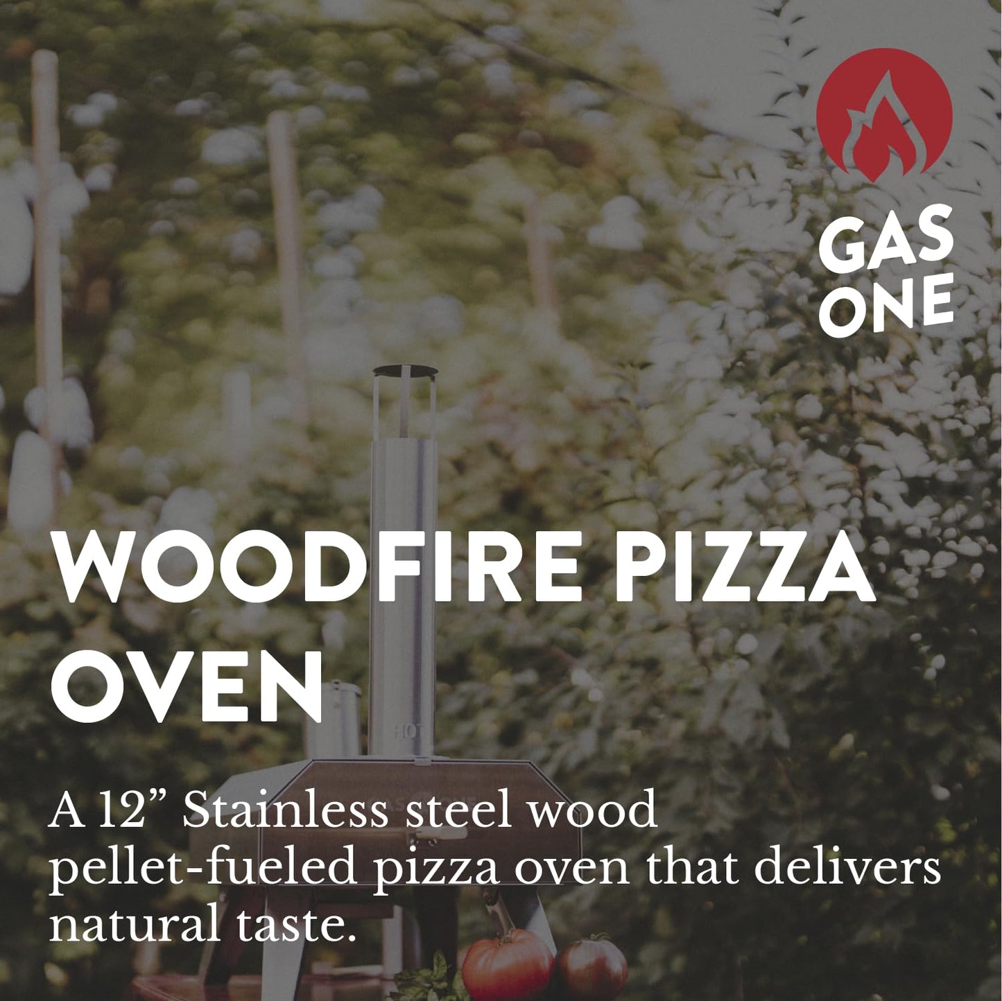 GasOne Portable Wood Pellet Pizza Oven 12-inch Pizza Maker for Outdoors, RVs, and Camping Stainless Steel Cooker - CookCave