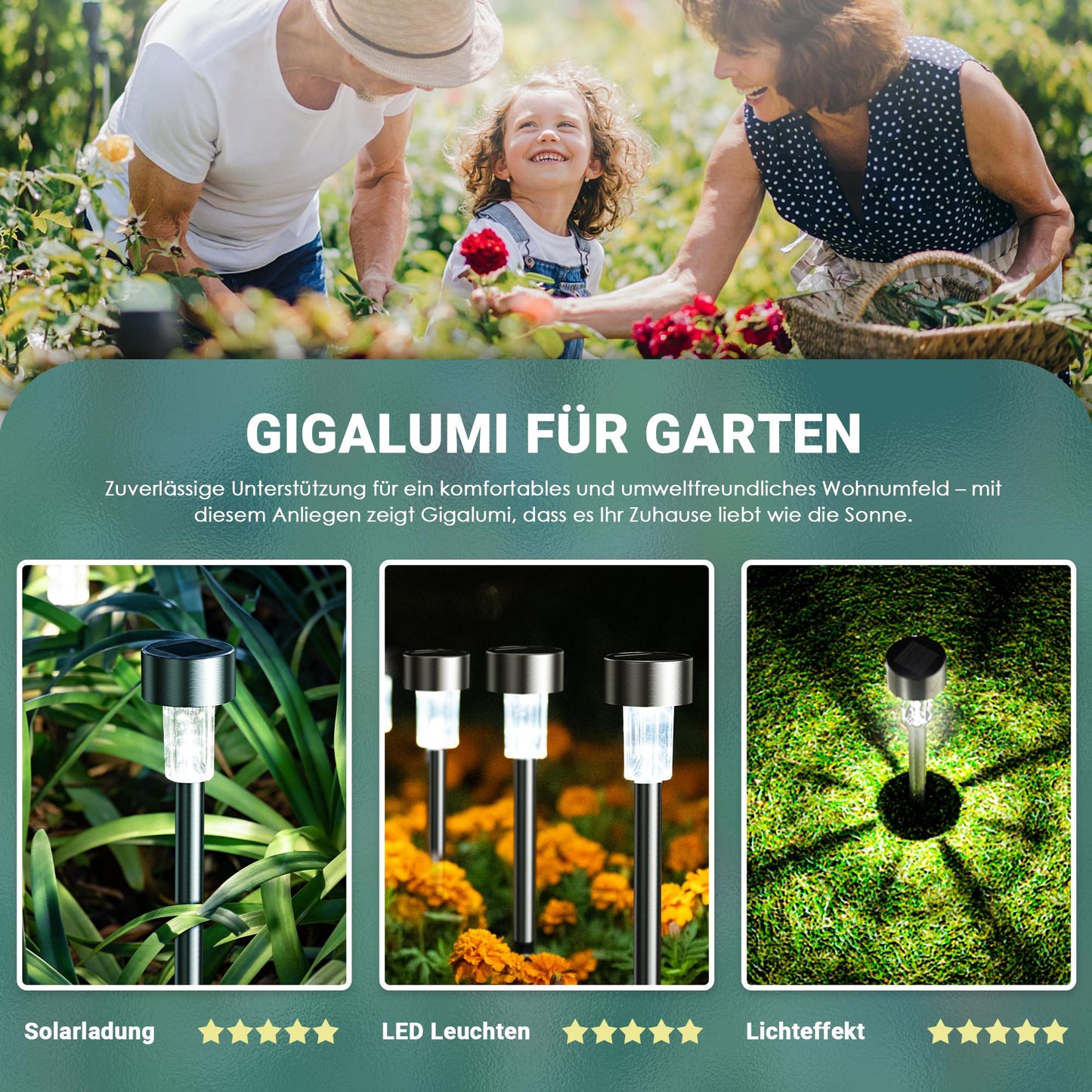 GIGALUMI Solar Lights Outdoor Waterproof, 12 Pack, Stainless Steel LED Solar Garden Lights for Patio, Lawn, Yard and Landscape, Cold White - CookCave