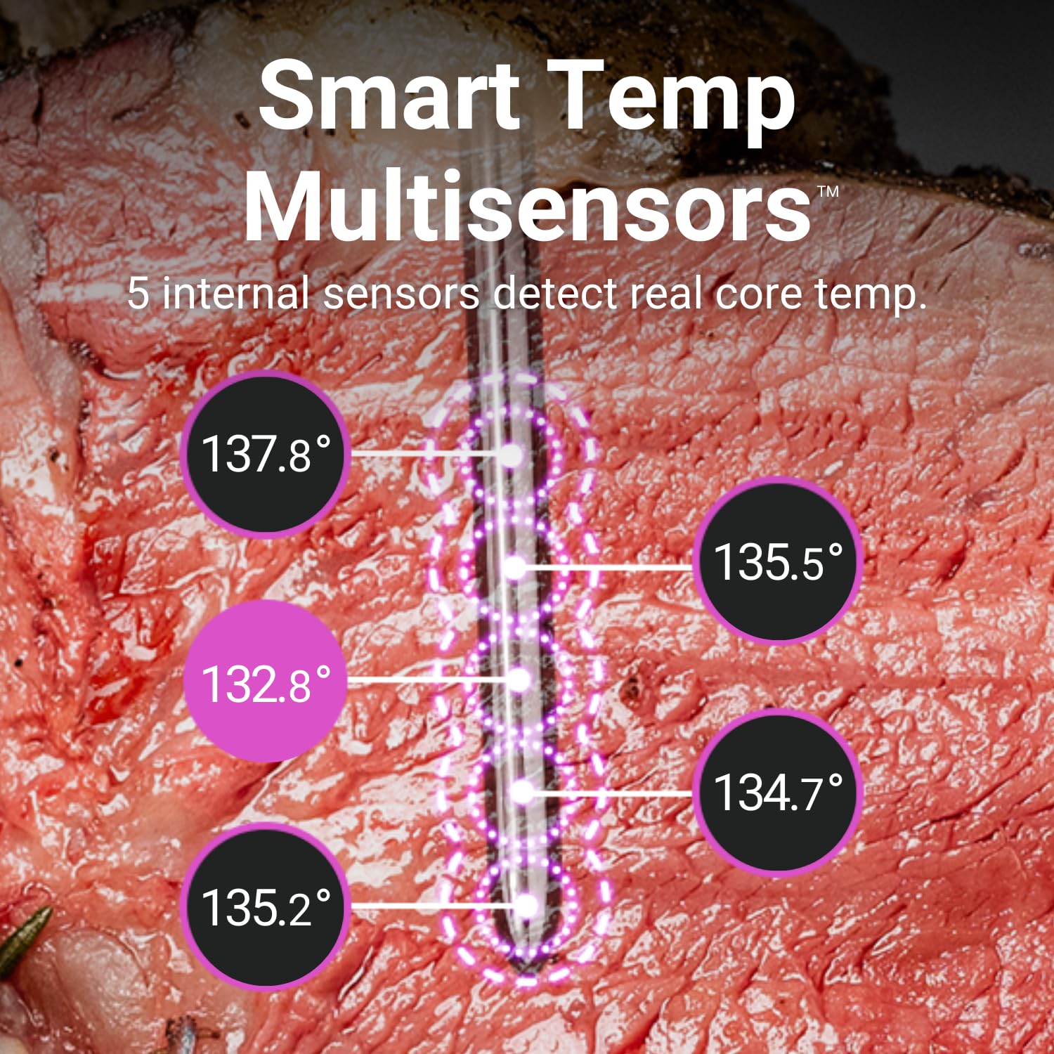 MEATER Pro: Smart Bluetooth Wireless Meat Thermometer Digital | 1000°F Heat Resistance | Long Range | Certified Accuracy | BBQ, Oven, Grill, Smoker, Air Fryer, Deep Fryer | Delicious Recipes in App - CookCave