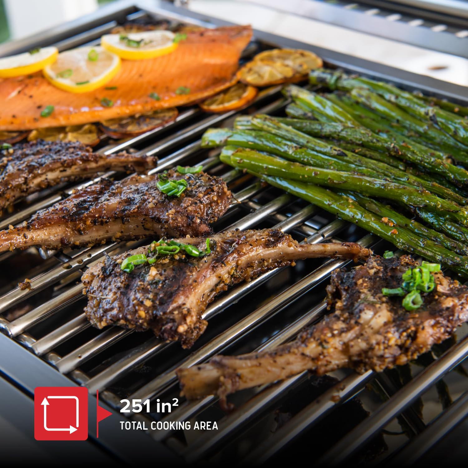 Nexgrill Stainless Steel 2-Burner Portable Gas Grill with Locking Lid, Folding Legs, 20,000 BTUs, 251 SQ In Cooking Space, Tabletop Grill for Camping, Outdoor Cooking, Patios, and More - 820-0007GE - CookCave