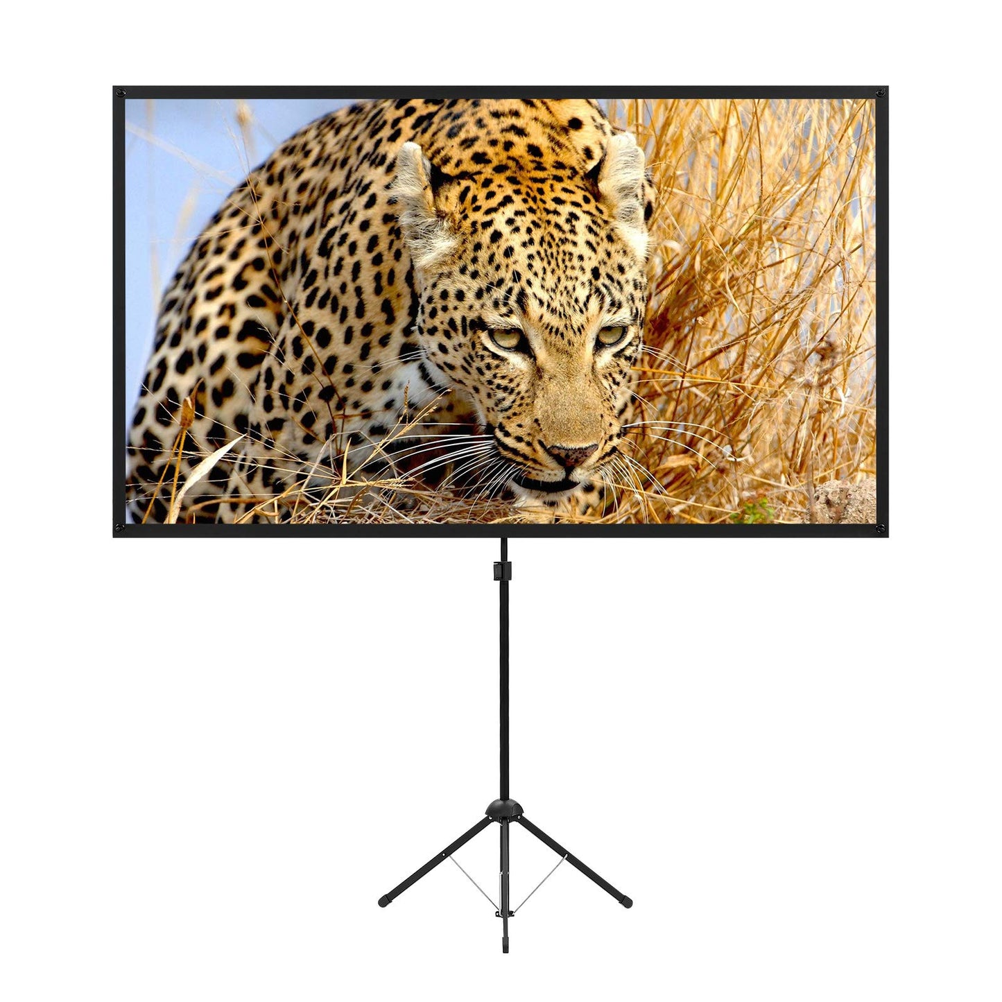 Portable Projector Screen with Stand, Outdoor Movie Screen, 80 Inch 16:9, Light-Weight, Mobile and Compact, Easy Setup and Carrying, Projection Screen with 1.2 Gain Glass Fiber, Idea for Home Cinema. - CookCave