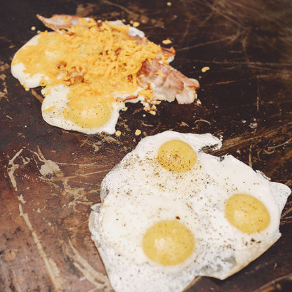 Razor Griddle Gas Grill & Griddle for Backyard Cooking and Camping, Portable Tabletop Stove - CookCave