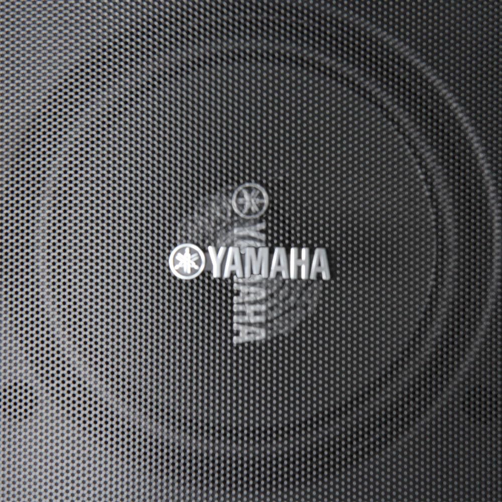 YAMAHA NS-AW194BL High-Performance All-Weather Speakers, Black - CookCave