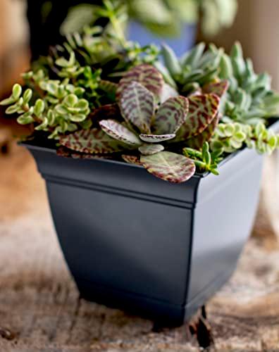 The HC Companies 8 Inch Eclipse Square Planter with Saucer - Indoor Outdoor Plant Pot for Flowers, Vegetables, and Herbs, Black - CookCave