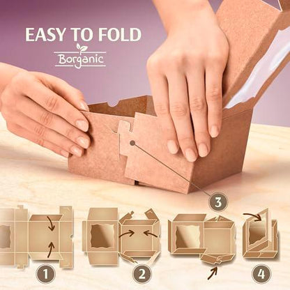 BORGANIC Cookie Boxes For Packaging - The Strongest 6x6x3 Cookie Boxes With Window [50 Pack] - Oil Resistant Cookie Boxes - Premium Bakery Boxes With Window - Cookie Boxes For Gift Giving - CookCave