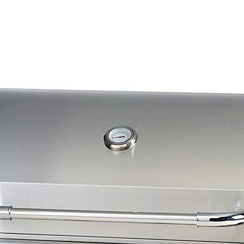 Bull Outdoor Products 26038 Liquid Propane Outlaw Drop-In Grill Head - CookCave