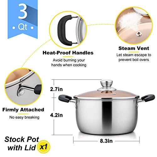 E-far 3 Quart Stock Pot, Stainless Steel Metal Soup Pot with Glass Lid for Cooking, Healthy & Rust Free, Heavy Duty & Dishwasher Safe - CookCave