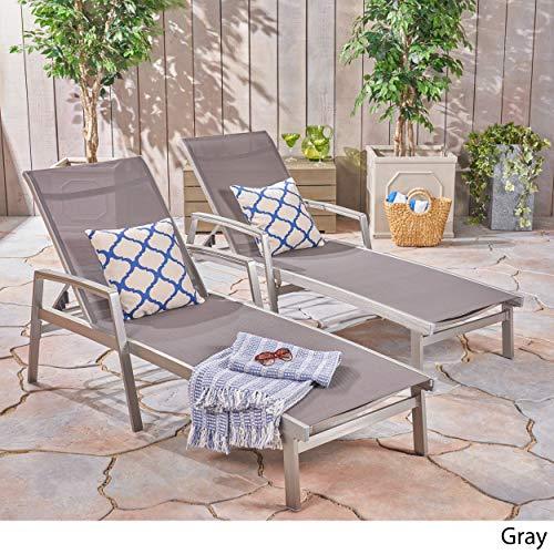 Christopher Knight Home Joy Outdoor Mesh and Aluminum Chaise Lounge (Set of 2), Gray - CookCave