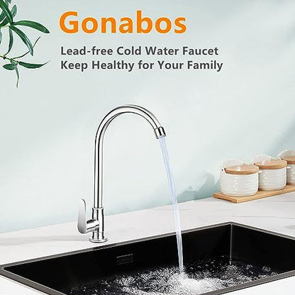 Brushed Nickel Cold Water Faucet Only,SUS304 Stainless Steel Cold Water Kitchen Faucet Single Handle Single Hole Cold Water Faucet for Kitchen,Outdoor, Garden and Bar with Hose and Longer Thread Pipe - CookCave