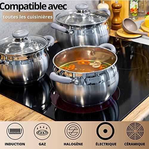 Daniks Modern Stainless Steel Stock Pot with Glass Lid | Induction 4 Quart | Dishwasher Safe Pot | Heatproof Handles | Soup Pasta Stew Pot | Silver - CookCave