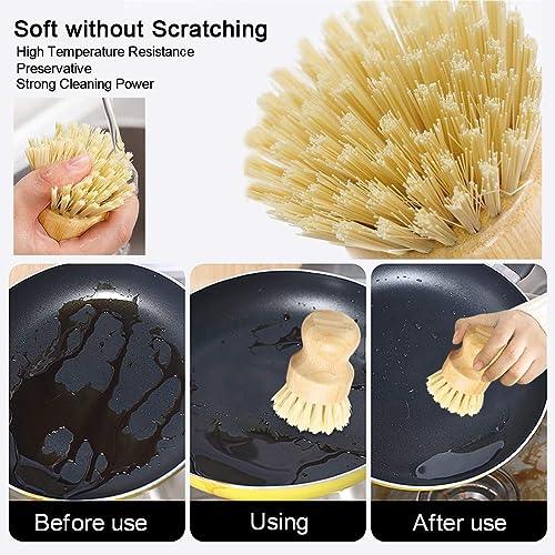 Dish Scrub Brush & Palm Pot Brush. Set of 2- Cleans Pan/Vegetable/Dishes/Wok, Made Out of Hard Palm & Soft Sisal Bristles with a Rubberwood Handle | Natural Bristle | Eco-Friendly - CookCave
