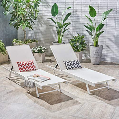 Christopher Knight Home Salton Outdoor Aluminum and Mesh Chaise Lounge Set, 2-Pcs Set, White / White - CookCave