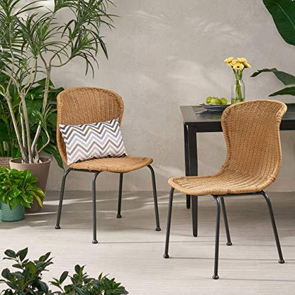 Christopher Knight Home Dinah Outdoor Wicker Dining Chair (Set of 2), Light Brown, Black - CookCave