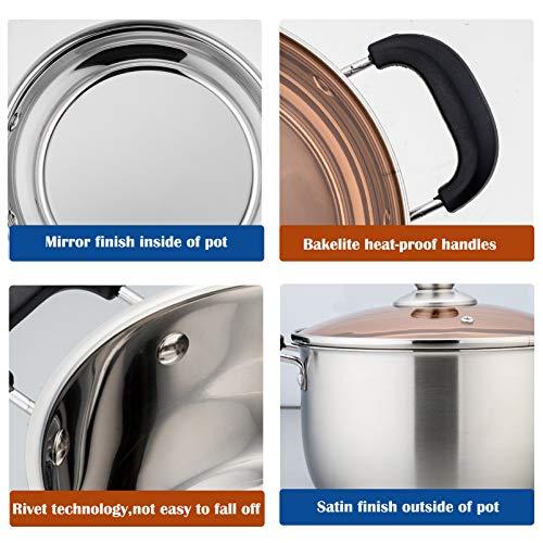 6 QT Pot, P&P CHEF 6-quart Stainless Steel Stockpot with Lid, Bakelite Heat-Proof Double Handles & Brown Glass Lid & Sliver Stainless Steel Pot, Dishwasher Safe - CookCave