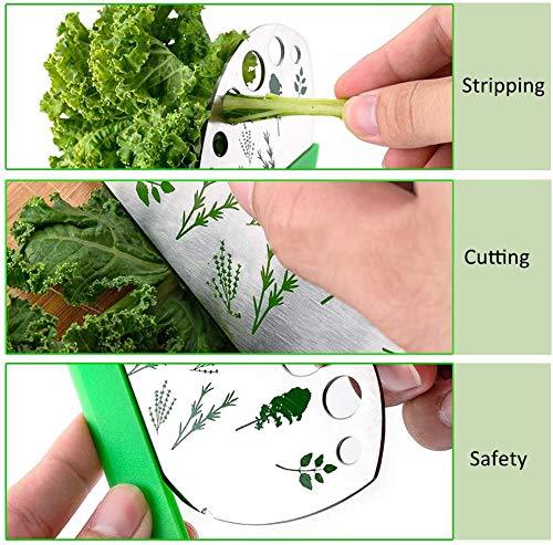 Herb Stripper, Jiaedge Green 9 holes Stainless Steel Kitchen Herbs Leaf Stripping Tool, Metal Herb Peeler for Kale, Collard Greens, Thyme, Basil, Rosemary Stripper - CookCave