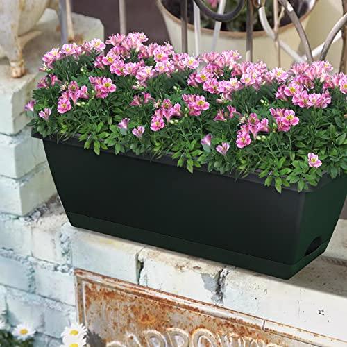 CHUKEMAOYI Window Box Planter, 10 Pack Plastic Vegetable Flower Planters Boxes 17 Inches Rectangular Flower Pots with Saucers for Indoor Outdoor Garden, Patio, Home Decor - CookCave