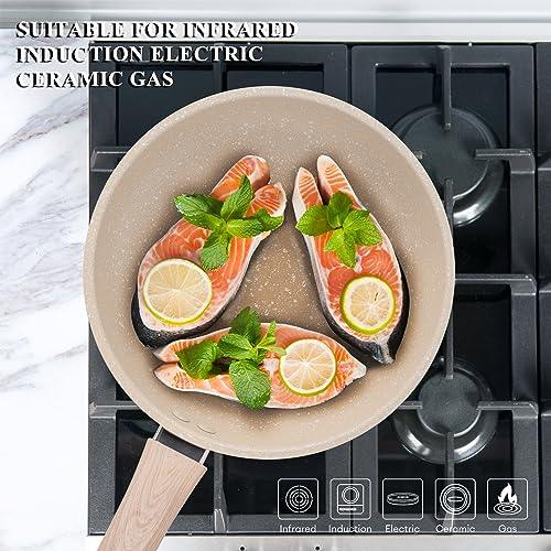 Nonstick Frying Pan Skillet,8 Inch Non Stick Granite Fry Pan Egg Pan Omelet Pans,Stone Cookware Chef's Pan with Heat-Resistant Handle,100% APEO&PFOA Free,Induction Compatible - CookCave