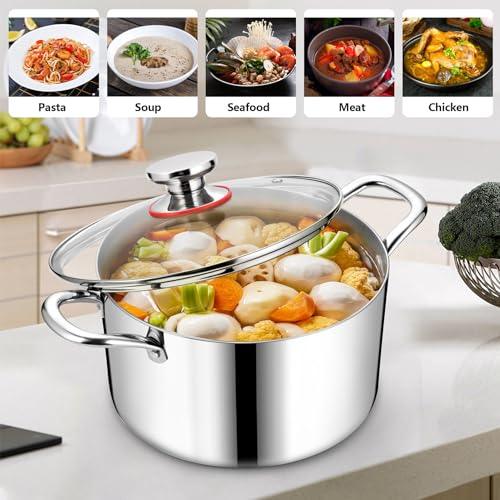 Homikit 8QT Stainless Steel Stock Pot, Heavy Duty Induction Cooking Pot with Glass Lid, Tri-ply Pasta/Chicken/Soup Pot, Stockpot for Steaming and Stewing, Dishwasher Safe - CookCave