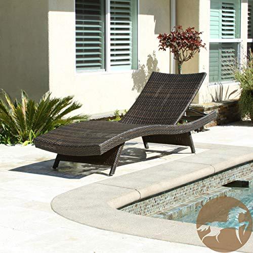 Christopher Knight Home Salem Outdoor Wicker Adjustable Chaise Lounge, Multibrown - CookCave