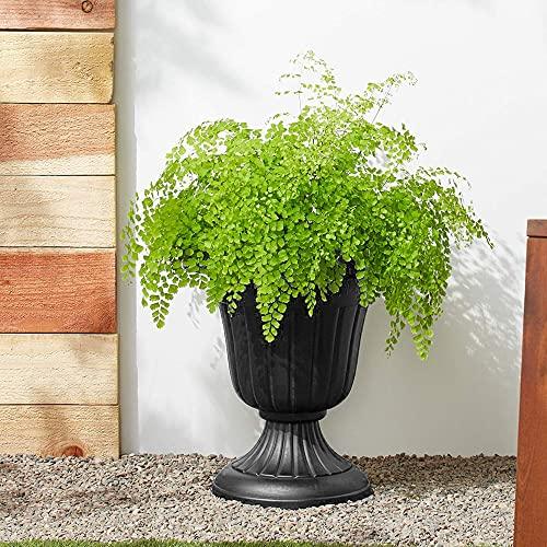 Arcadia Garden Products PL20BK Classic Traditional Plastic Urn Planter Indoor/Outdoor, 10" x 12", Black - CookCave