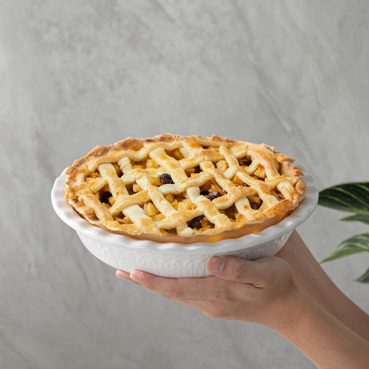 Fun Elements Ceramic Pie Pan, 9 Inch Pie Dish for Baking, Ruffled Pie Plate, Non-Stick Deep Dish Pie Pan for Apple Pie and Pot Pie, Set of 2, White - CookCave