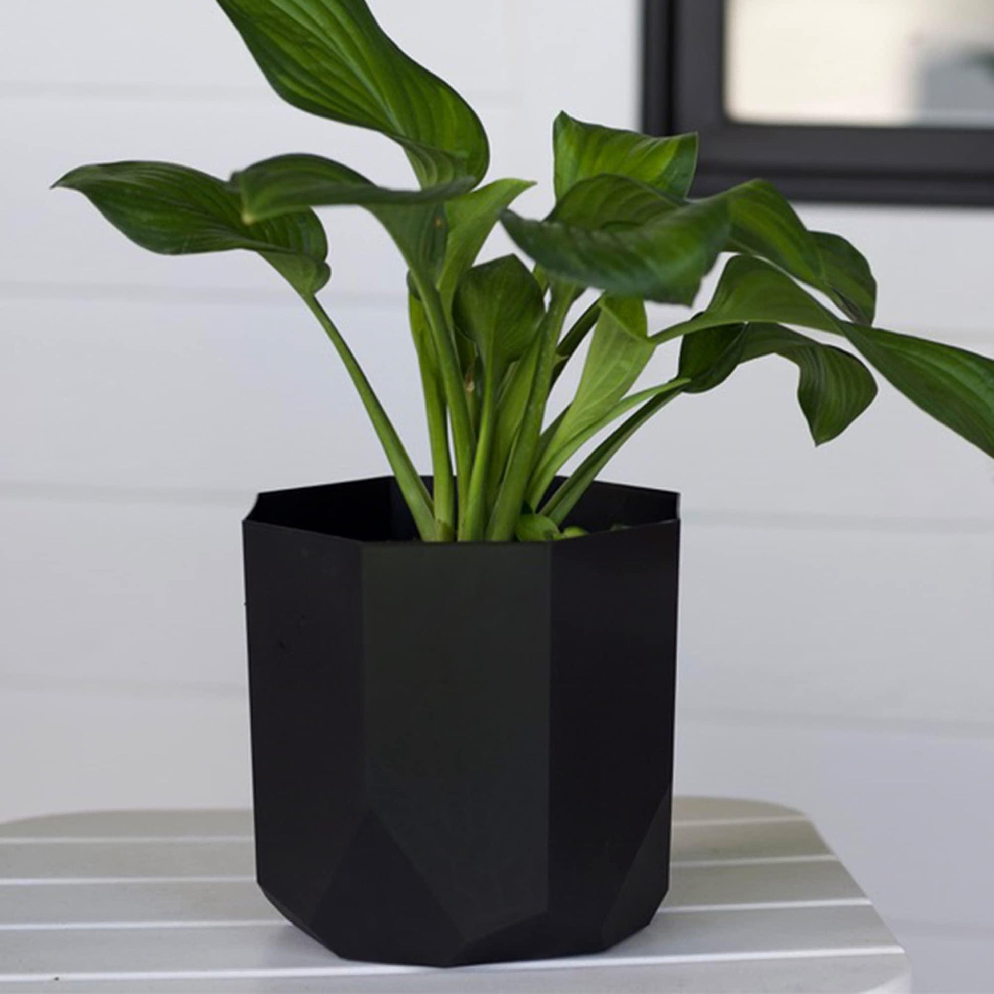 Bloem Tuxton Modern Hexagon Small Planter: 10" - Black - Matte Finish, Durable Resin, Modern Design, Optional Drainage Holes, for Indoor and Outdoor Use, Gardening, 2.7 Gallon Capacity - CookCave