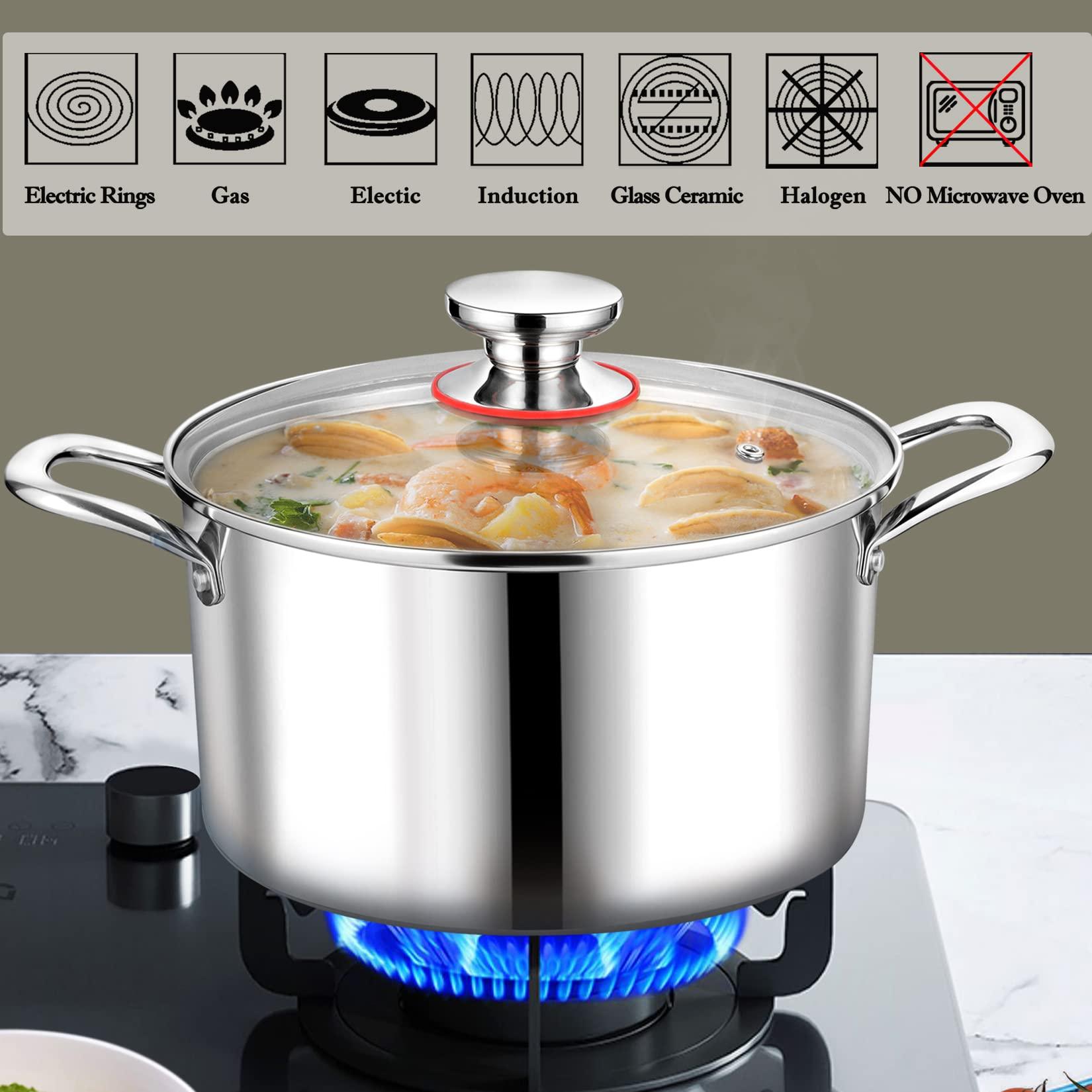 P&P CHEF 6 Quart Stock Cooking Pot, Tri-Ply Stainless Steel Stockpot with Lid for Induction Gas Electric Stoves, Transparent Cover & Double Riveted Handles, Heavy Duty & Dishwasher Safe - CookCave