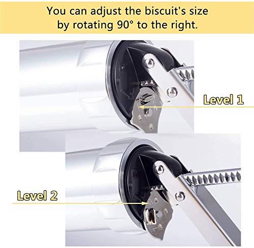 Cookie Press Maker Kit for DIY Biscuit Maker and Decoration with 8 Stainless Steel Cookie discs and 8 nozzles (Stainless Steel) - CookCave