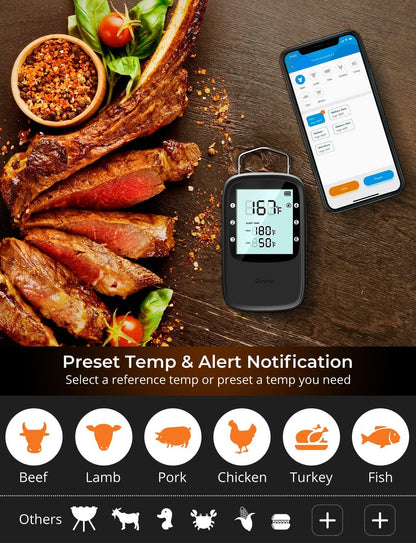 Govee Bluetooth Meat Thermometer, Wireless Meat Thermometer for Smoker Oven, Digital Grill Thermometer with 2 Probes, Timer Mode, Smart LCD Backlight BBQ Thermometer for Cooking Turkey Fish Beef - CookCave